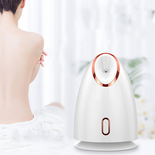 Facial Steamer — Home Beauty Device