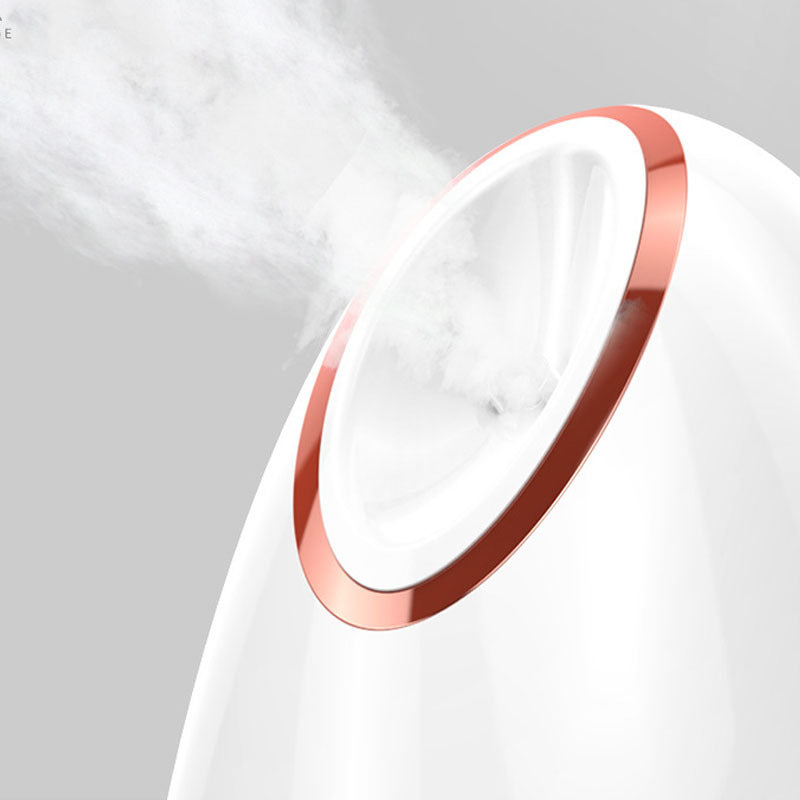 Facial Steamer — Home Beauty Device