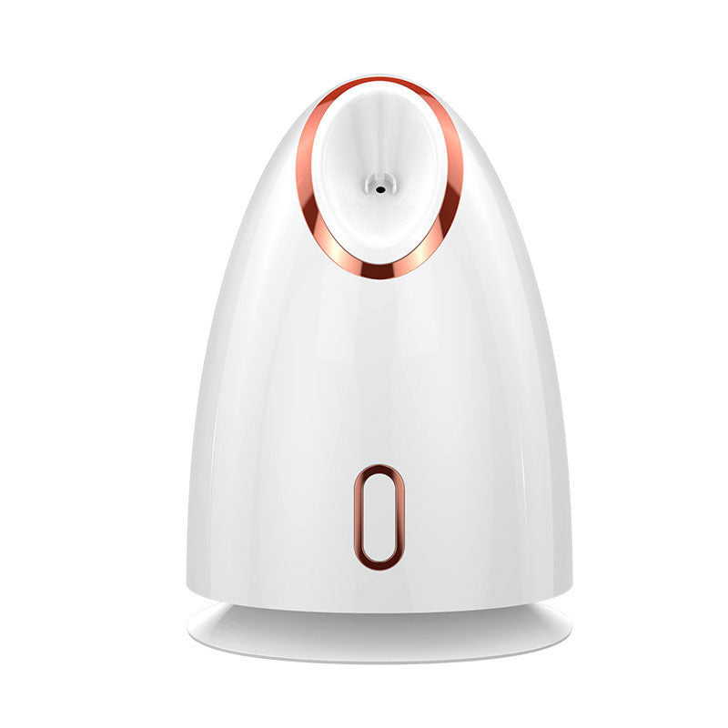 Facial Steamer — Home Beauty Device