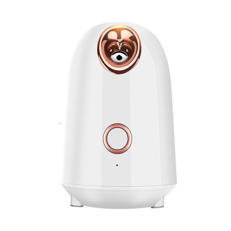 Facial Steamer — Home Beauty Device